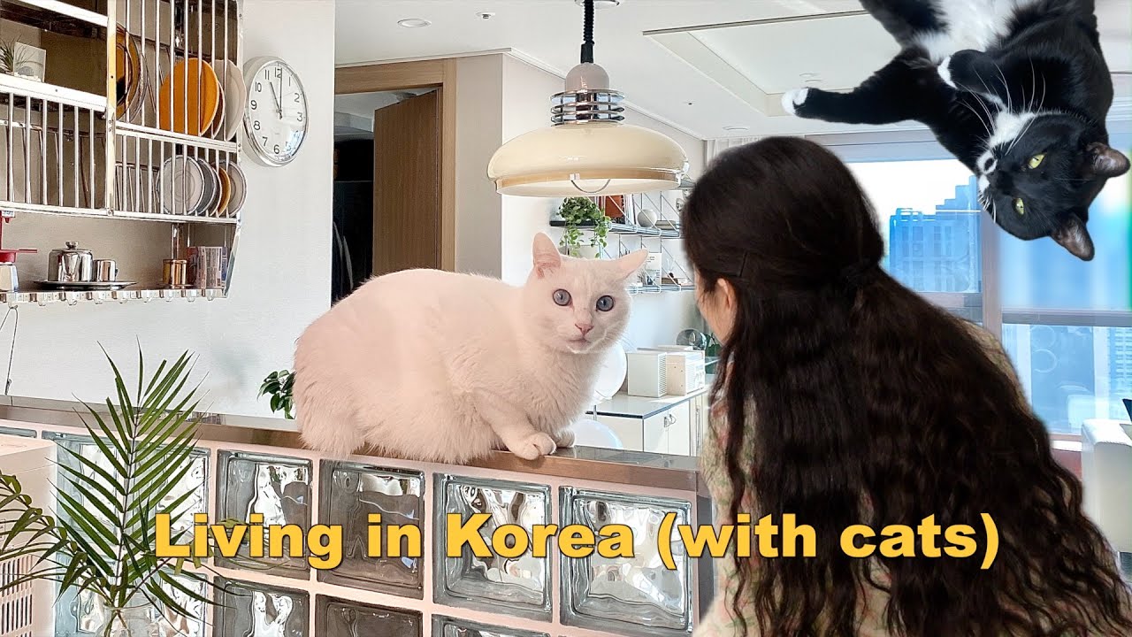 День из моей жизни в Корее 🇰🇷
