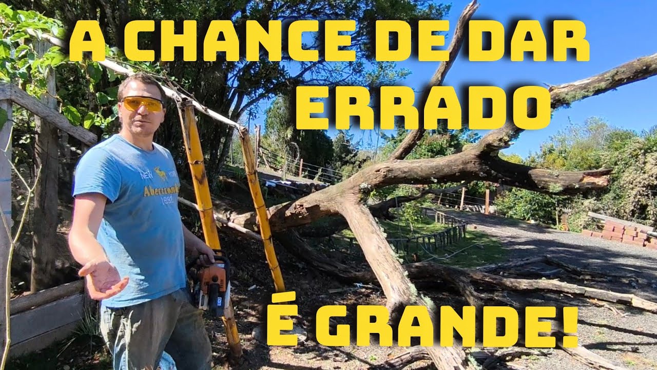 ESSE TRABALHO É GRATIFICANTE E MUITO PERIGOSO EP-781