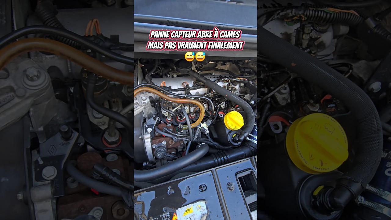 ⚠️  Distribution d&eacute;cal&eacute;e : ce sc&eacute;nic a failli casser son moteur ⚠️ #mecanique #renault #automobile