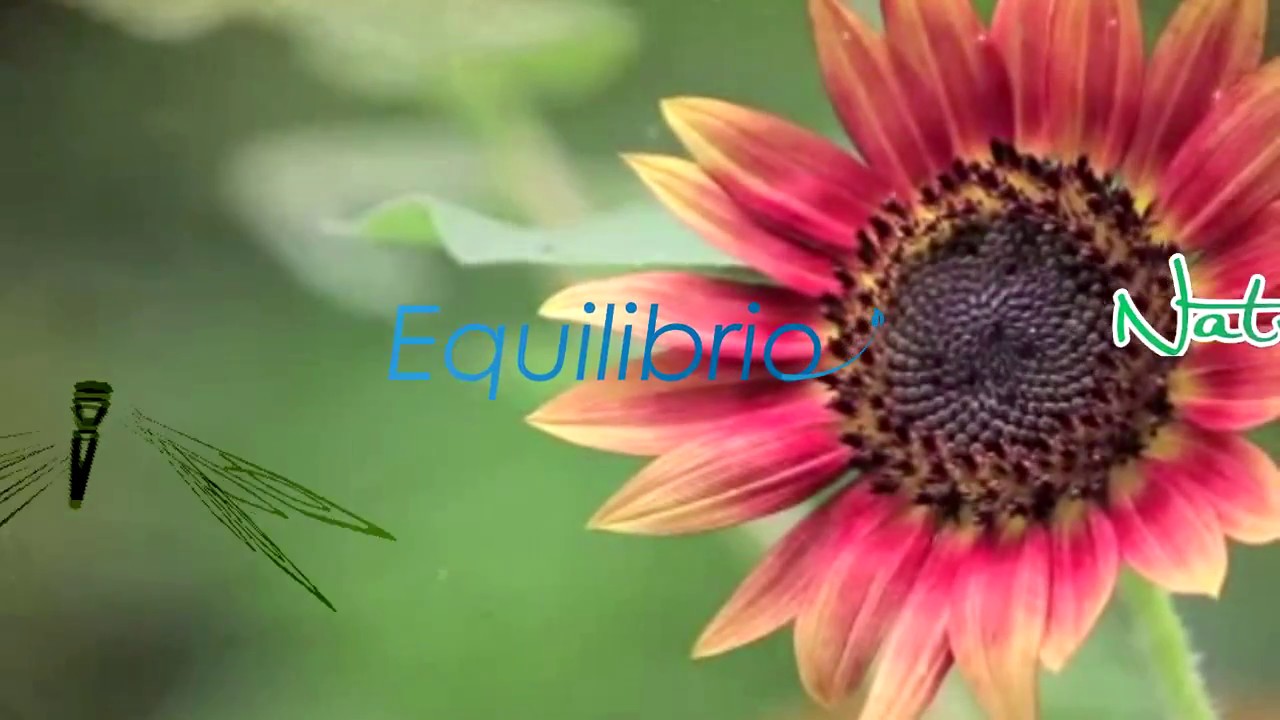 Equilibrio Natural
