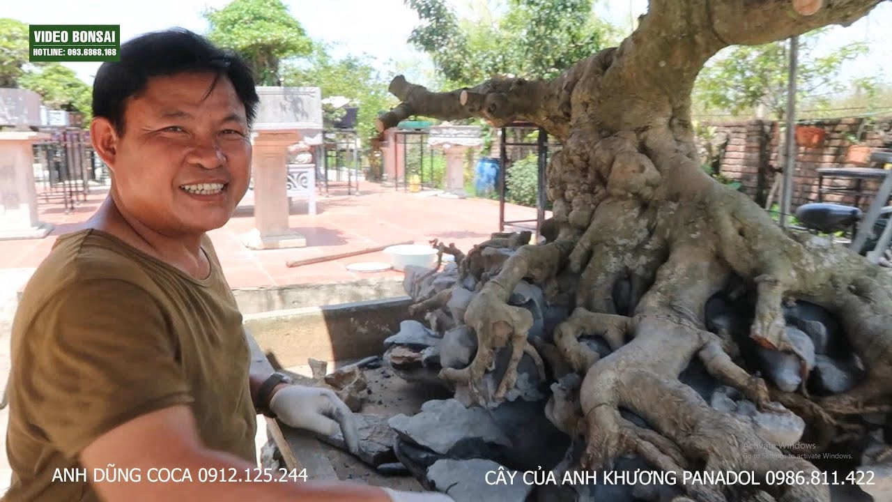 VD : LỘT XÁC KHI ANH DŨNG COCA LÀM ĐÁ CHO BÁU VẬT CỦA ANH KHƯƠNG PANADOL