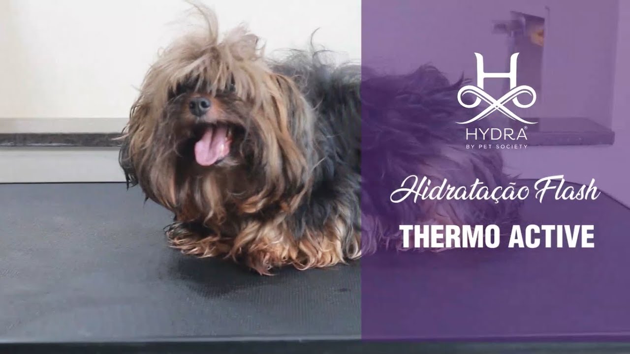 Hidratação Flash Thermo Active | Hydra by Pet Society