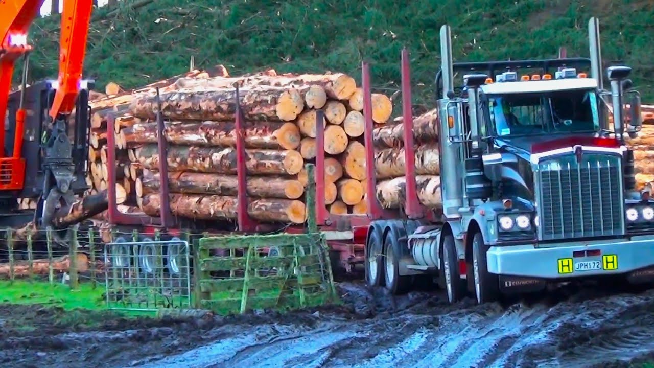 Heavy Duty Logging Trucks at Work Peterbilt and Kenworth in the Logging Fields