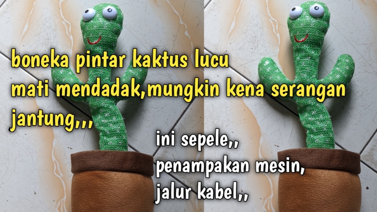 Memperbaiki boneka mainan kaktus mati, ternyata ini penyebapnya, bongkar mesin,,,, 