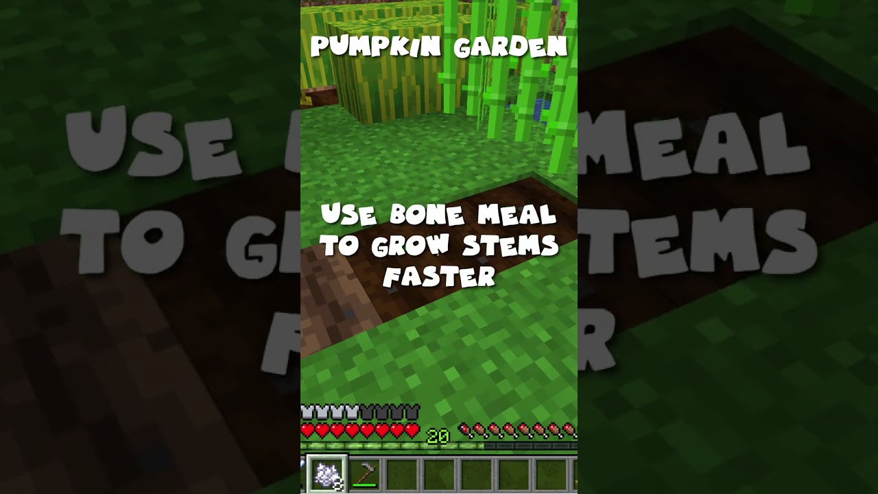 Let's Grow Pumpkins in Minecraft Survival! 😎😎 #shorts