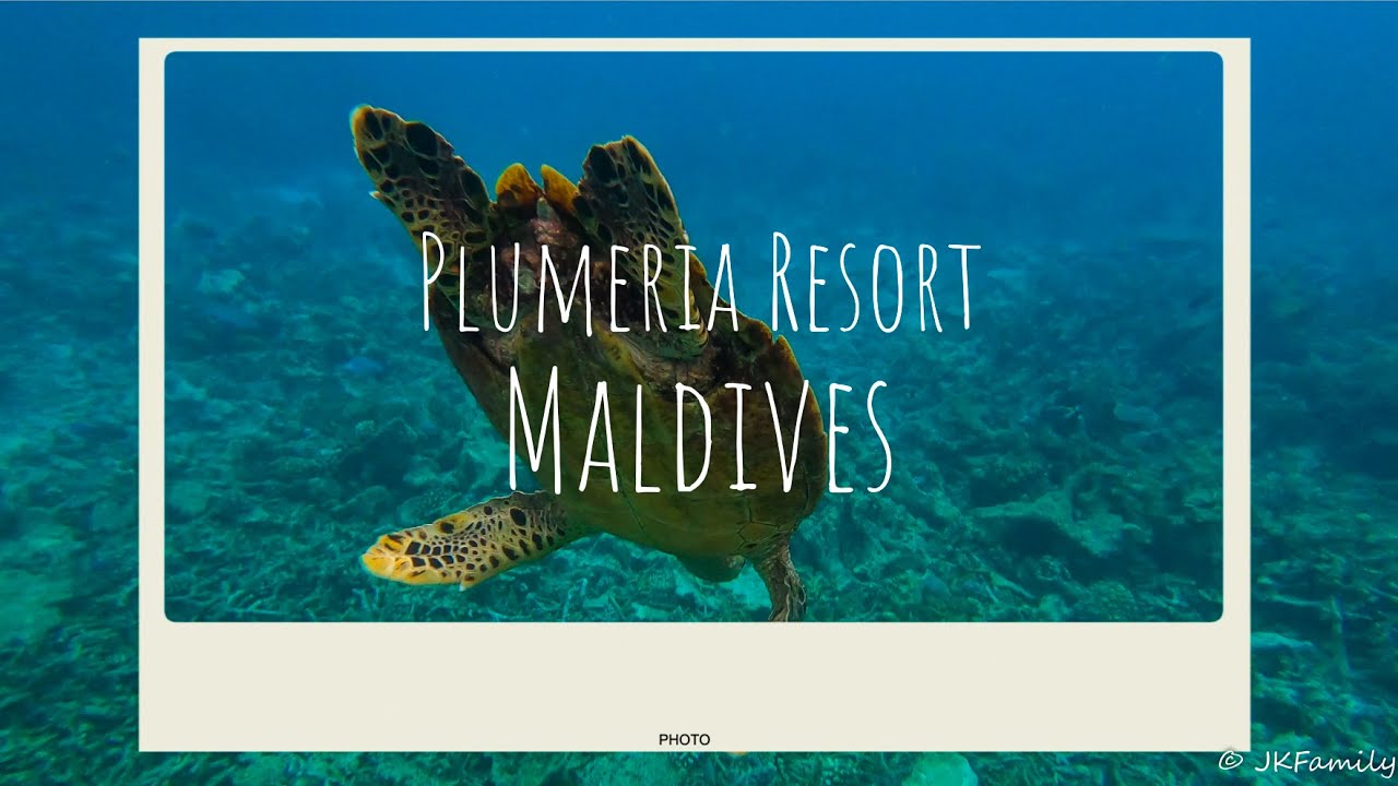 Plumeria Resort - Maldives