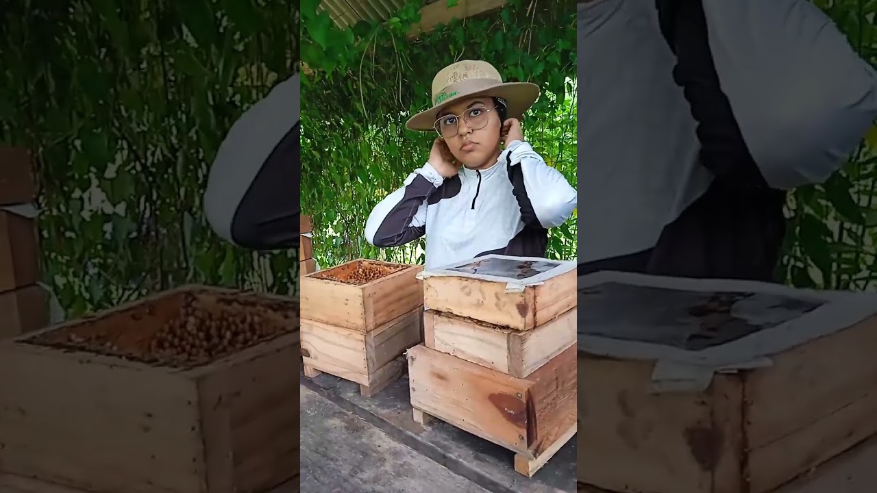 Revisão MELSAF vídeo 5