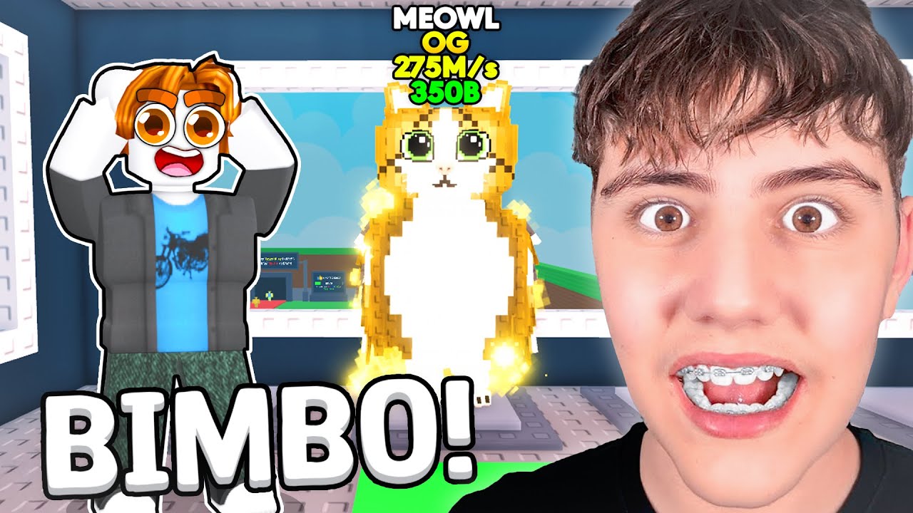 Ho MIGLIORATO la BASE dei MIEI ISCRITTI su STEAL A BRAINROT!