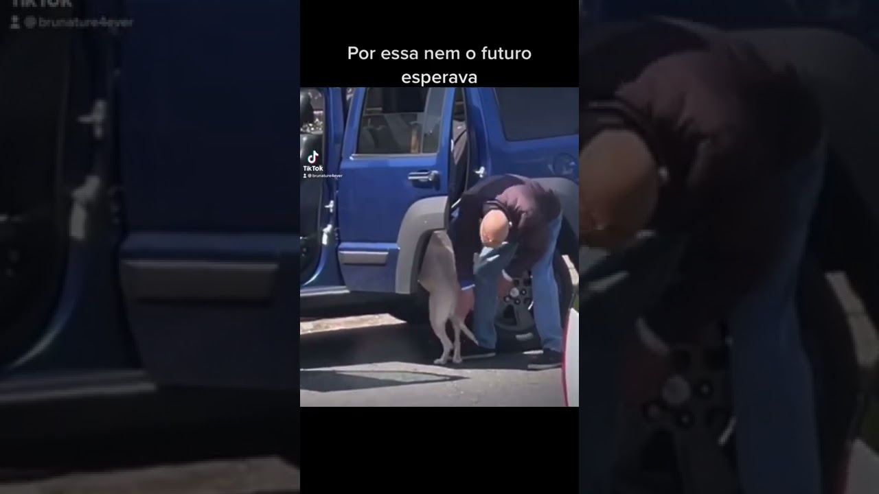 Dog #videosengra&ccedil;ados #funny #pets #animals #youtubeshorts #cute #dog #foryou #shorts  #viralvideo