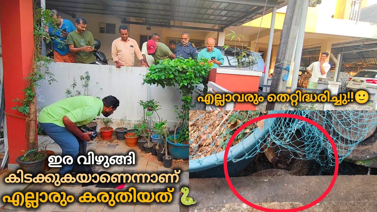 ഒളിച്ചതല്ല അനിയാ.. കുടുങ്ങിപ്പോയതാ!!🐍😂 SNAKE MANIAC | SNAKE | SPECTACLED COBRA