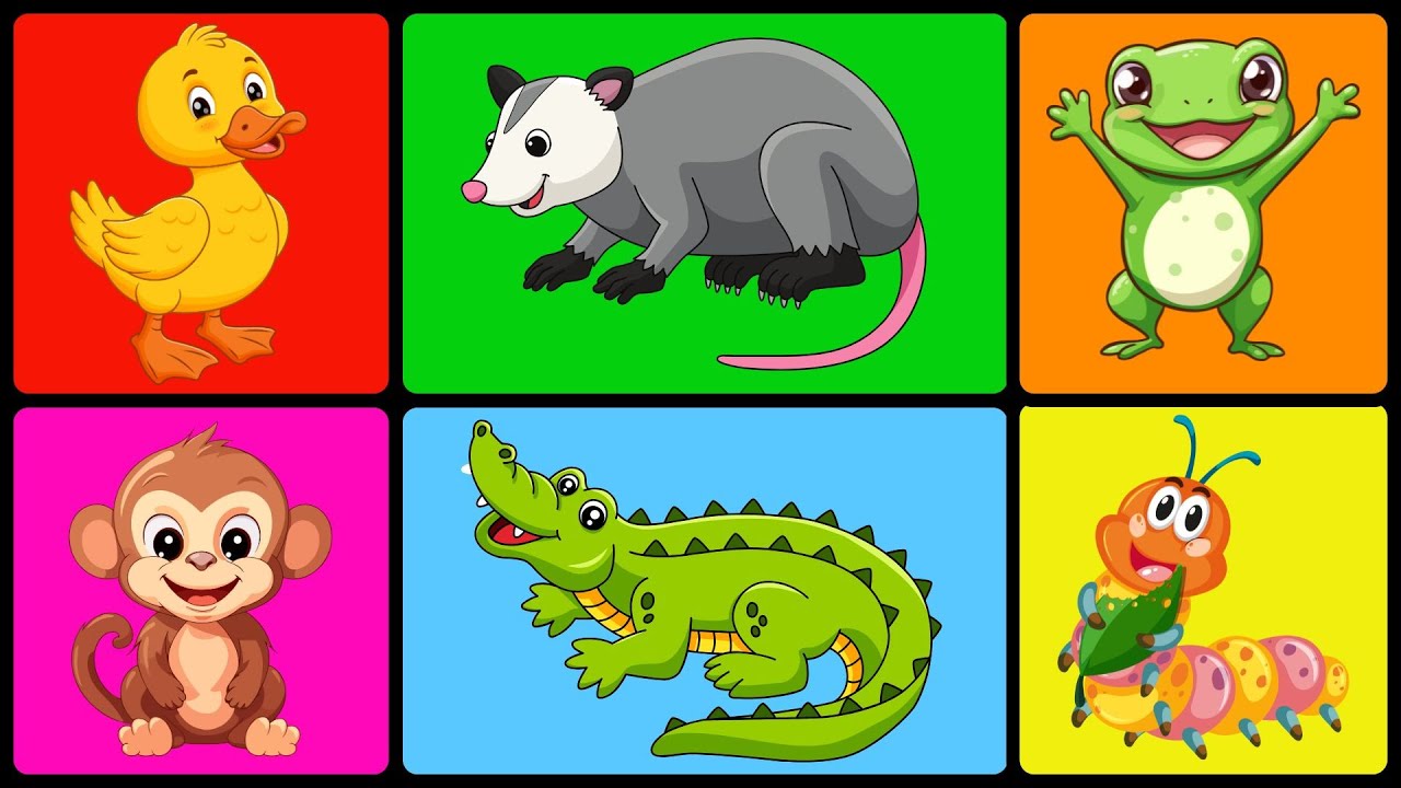 🐾🐯Animales y pequeños insectos 🐘🐞 | ¡Aprende y diviértete con nosotros!