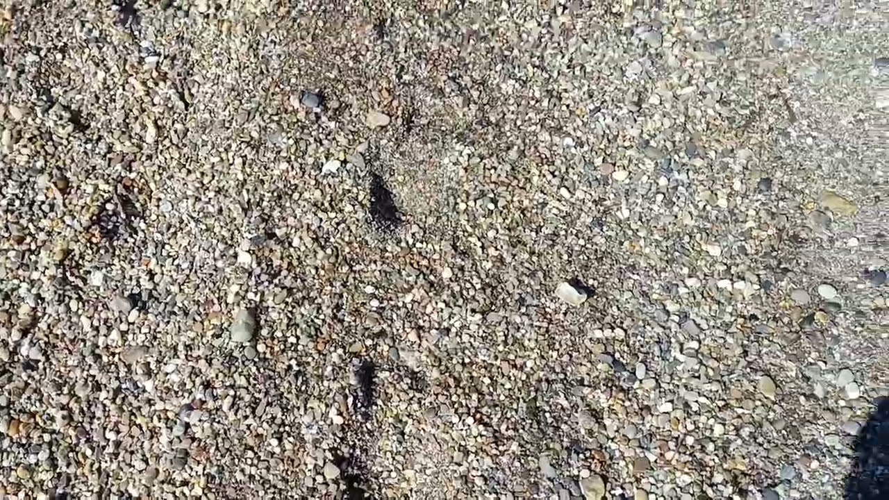 Mini beachcomb today. Wasn't a bad haul which I will upload to my Facebook page. 