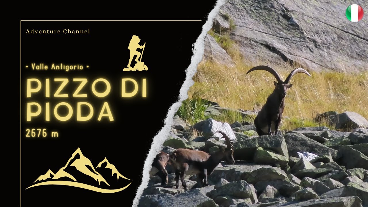 Pizzo di Pioda (2676 m) • Valle Antigorio •
