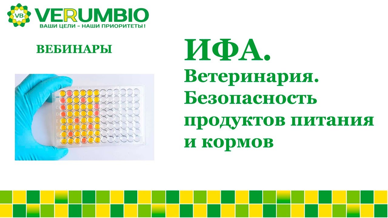 Иммуноферментный анализ. Ветеринария. Безопасность продуктов питания и кормов