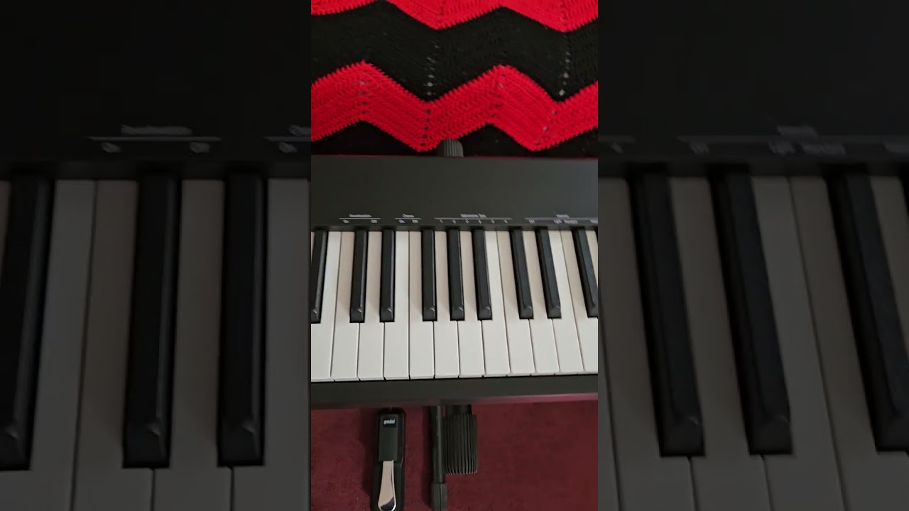 BEISITE S-216 Folding piano,  88 Full size Fully Weighted hammers. Twin 15 Watt Speakers