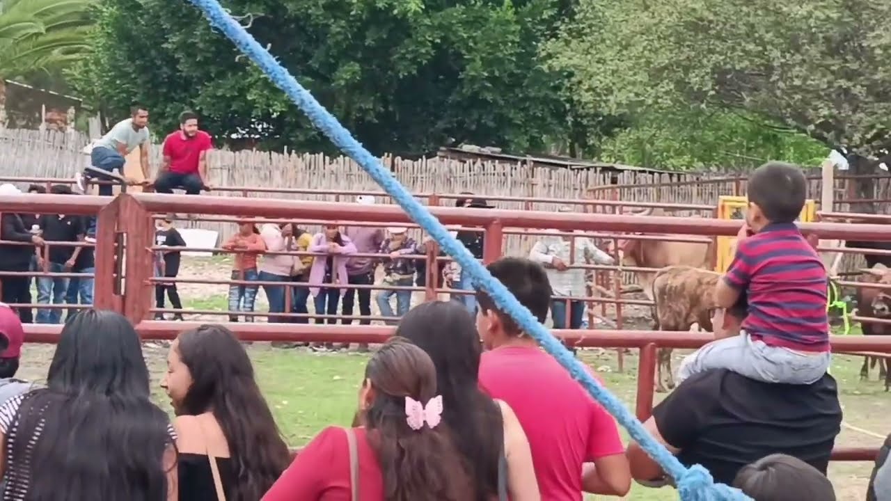 Mujer desafia al toro y lo monta 😱(feria anual barrio San Pedro 29/06/24)