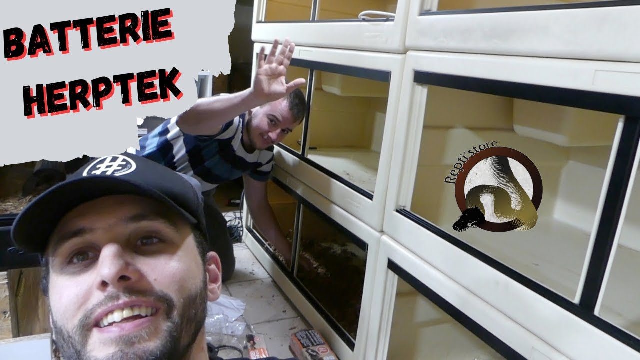 BONUS : on INSTALLE une BATTERIE HERPTEK !!!