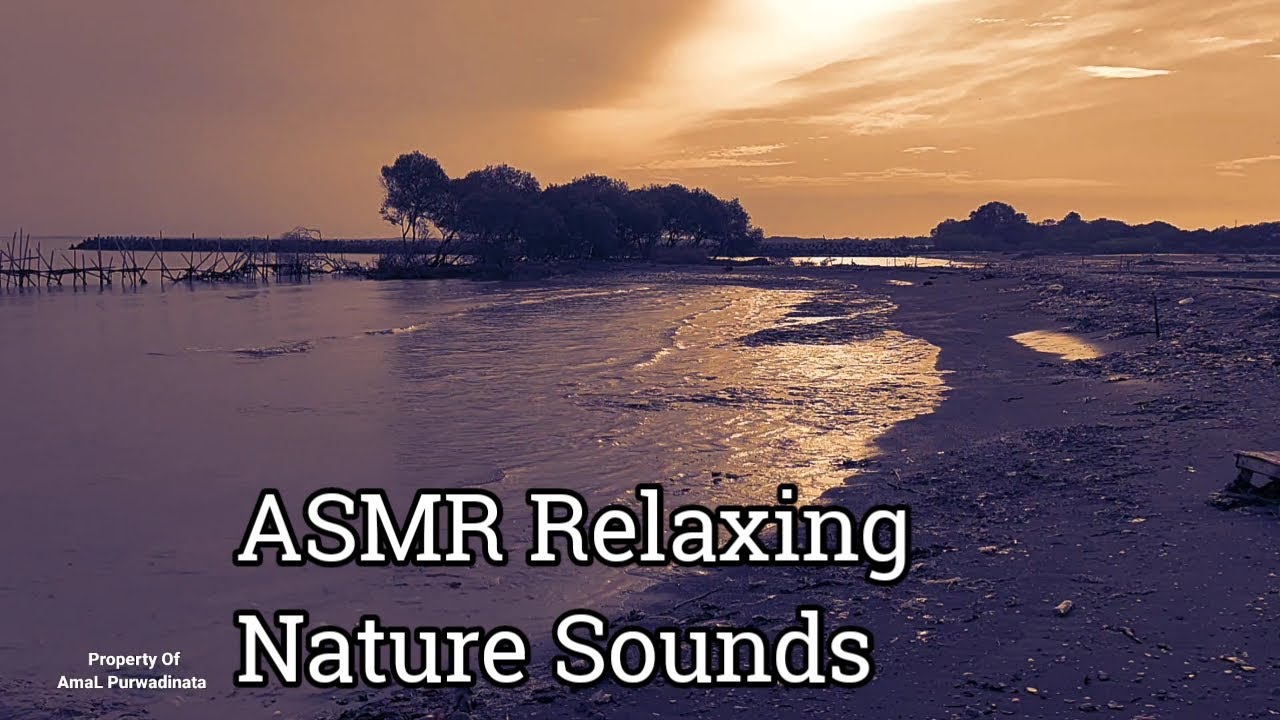 🔴 LIVE Beach Waves 24/7 | Deep Sleep Ocean Sounds | Relaxing Sea Ambience
