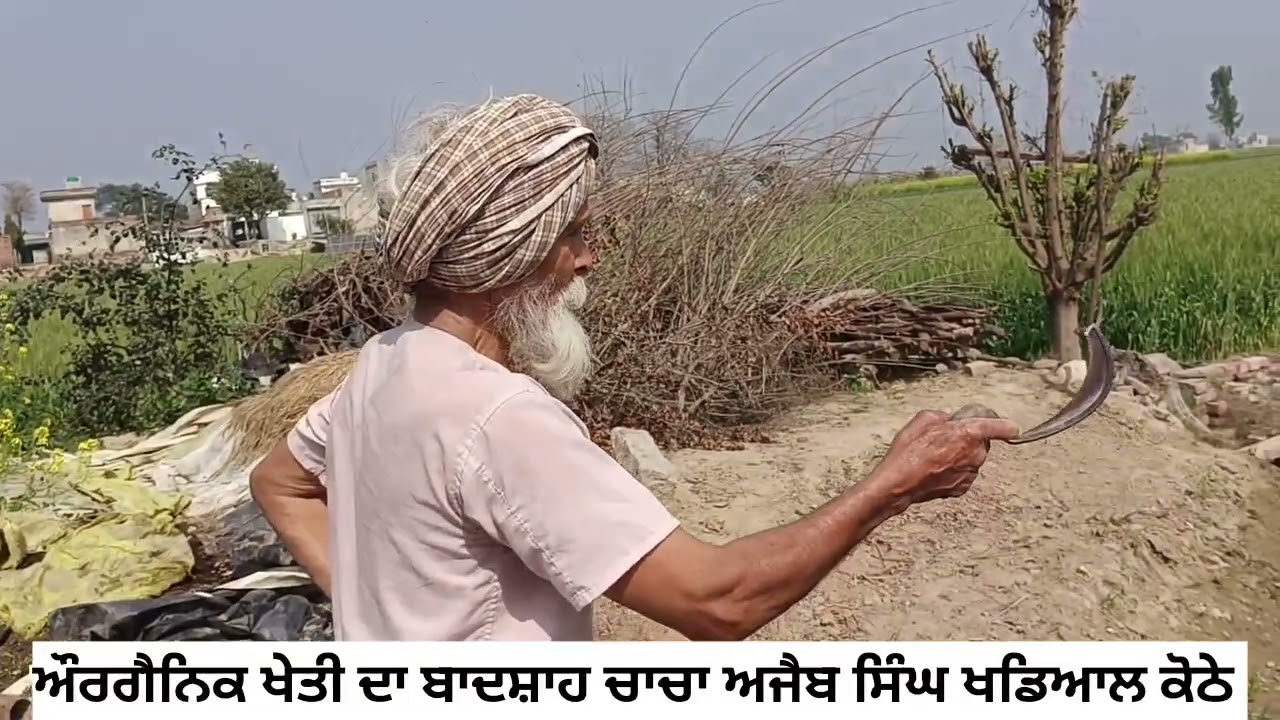 ਔਰਗੈਨਿਕ ਖੇਤੀ ਦੇ ਬਾਦਸ਼ਾਹ ਚਾਚਾ ਅਜੈਬ ਸਿੰਘ ਖਡਿਆਲ ਕੋਠੇ 