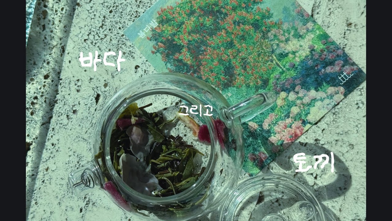 토끼가 가득한 바다🐰