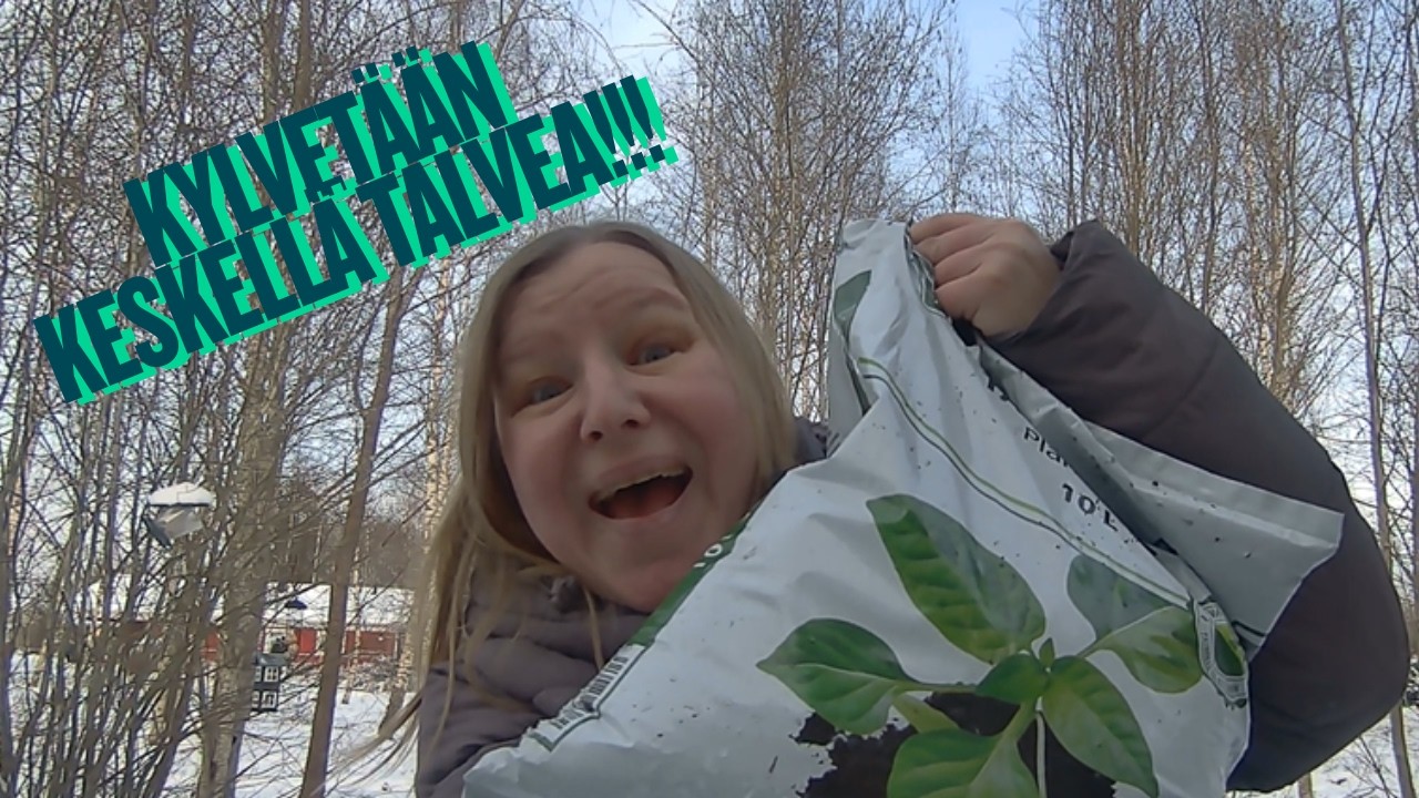 Ensimmäiset kesäkukat multiin keskellä talvea!!