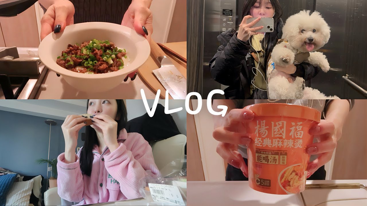 30代OLの日常VLOG🪴｜2月の平日と休日💻🍙｜犬との暮らし,簡単な自炊,ゆるく生きる