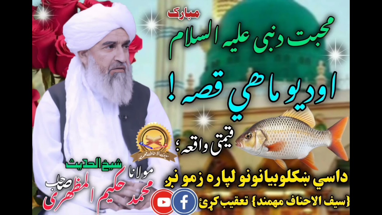 All Shaikh Mohammad Hakeem Al الشیح محمد حکیم المظھری حافظہ اللہ !! پشتو ڈیر حکلے بیان !!  Muzhiri