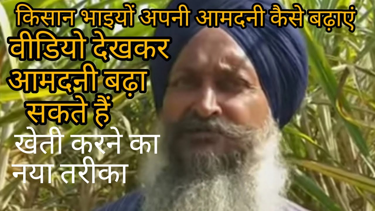 पंजाब(2) का किसान गन्ना कैसे बोता है अवतार सिंह की खेती मुझे पसंद है9463571522.
