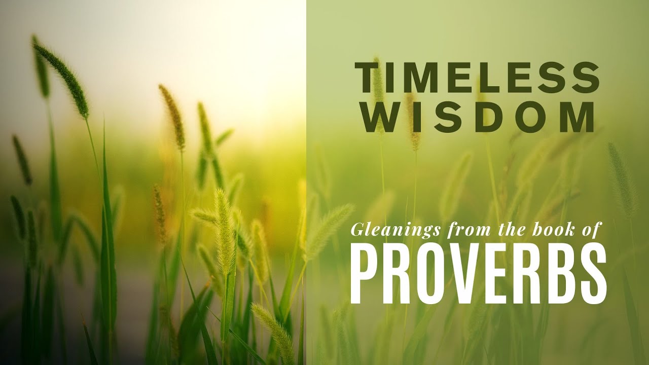 God’s Wisdom Revealed in Creation - Proverbs 