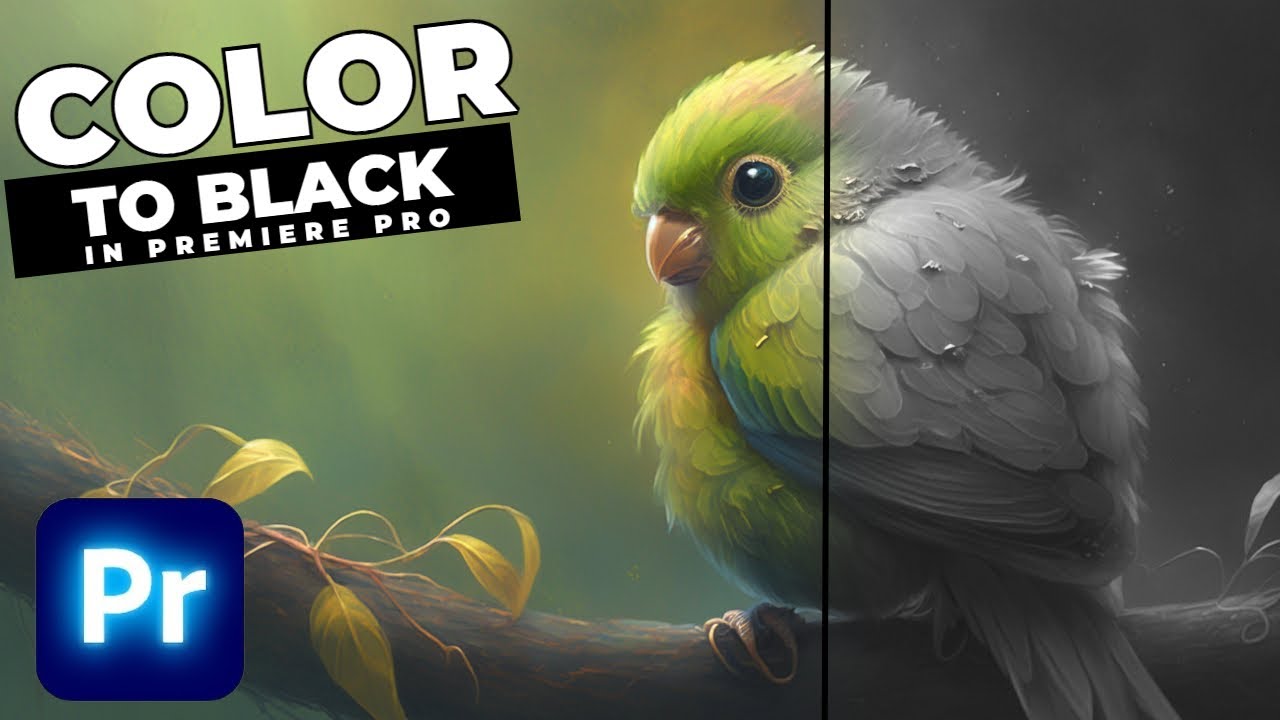 COLOR To BLACK And WHITE Transition Tutorial In Premiere Pro