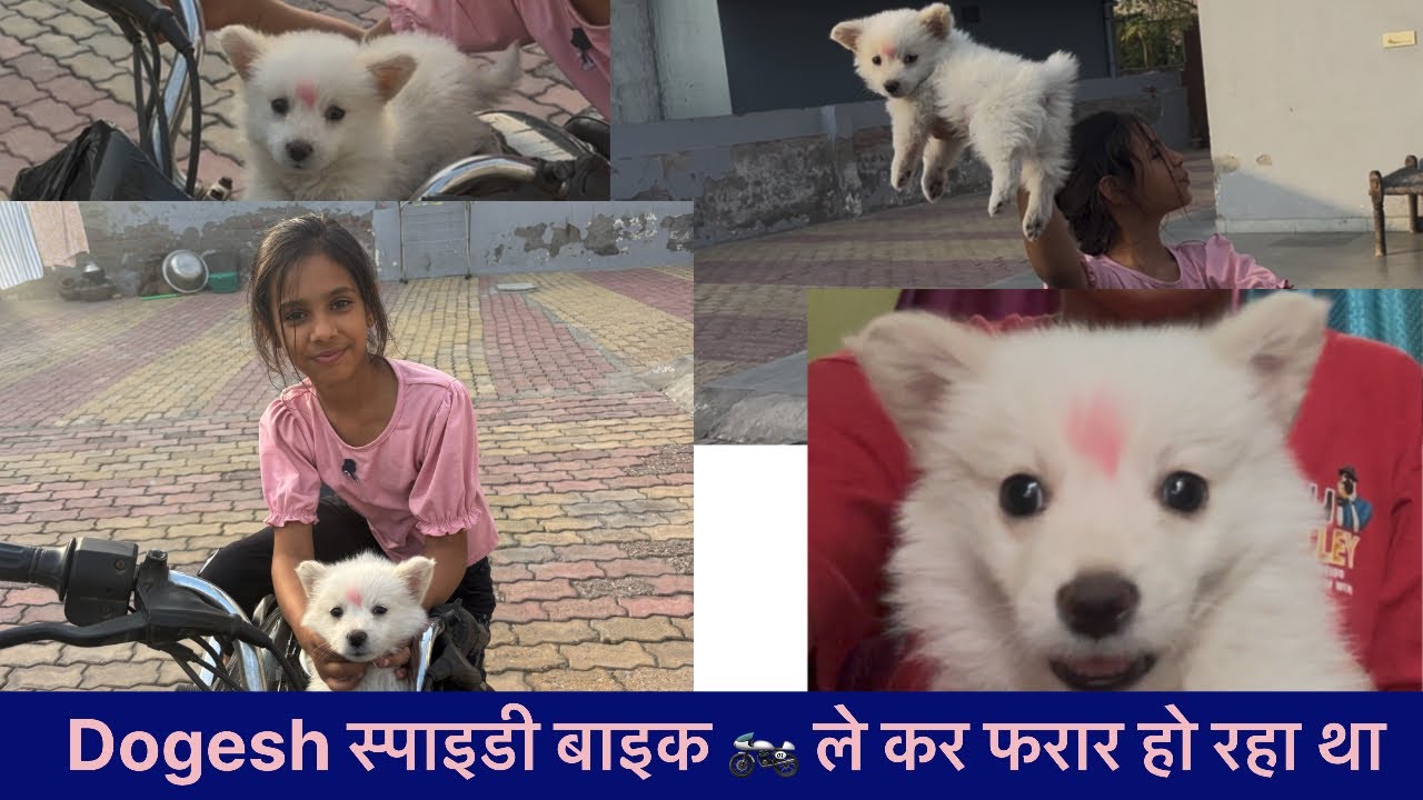 Day-46/365 स्पाइडी आज बाइक चलाने की कोसिस कर रहा है misty के साथ 😂#viral #funny #blogger #vlog#love 