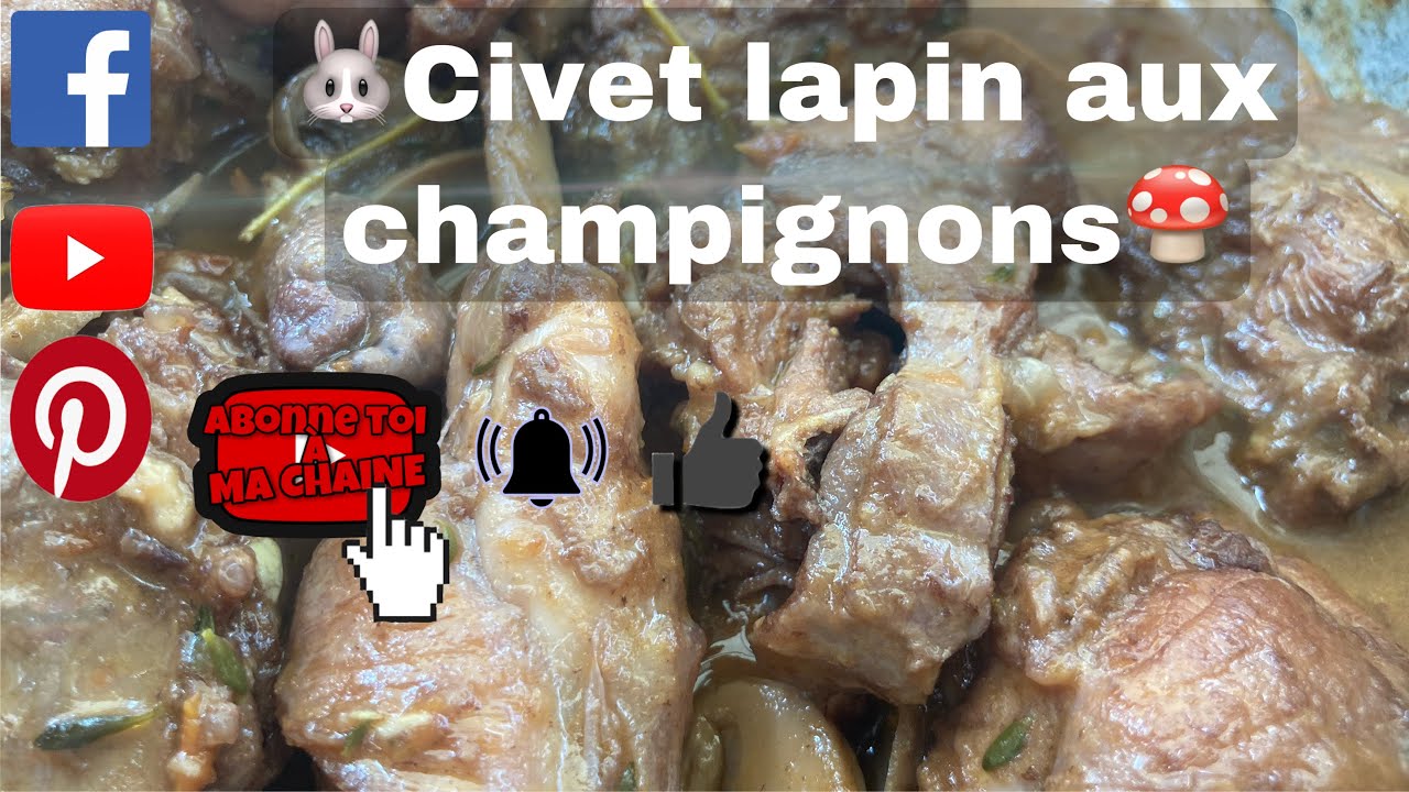 Civet lapin aux champignons