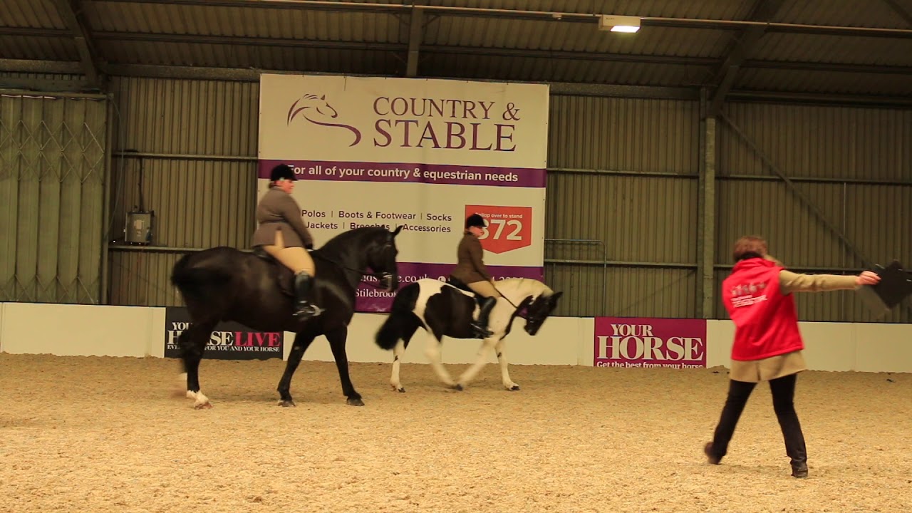 Showing Secrets 1 with The Showing Register - Your Horse Live 2018