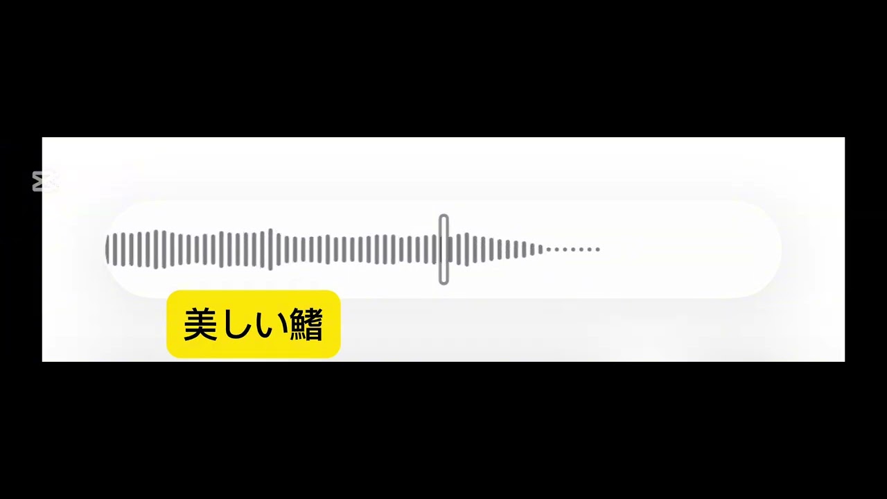 アニメソング14曲(Japanesde Anime Song Play AKAI EWI 5000)