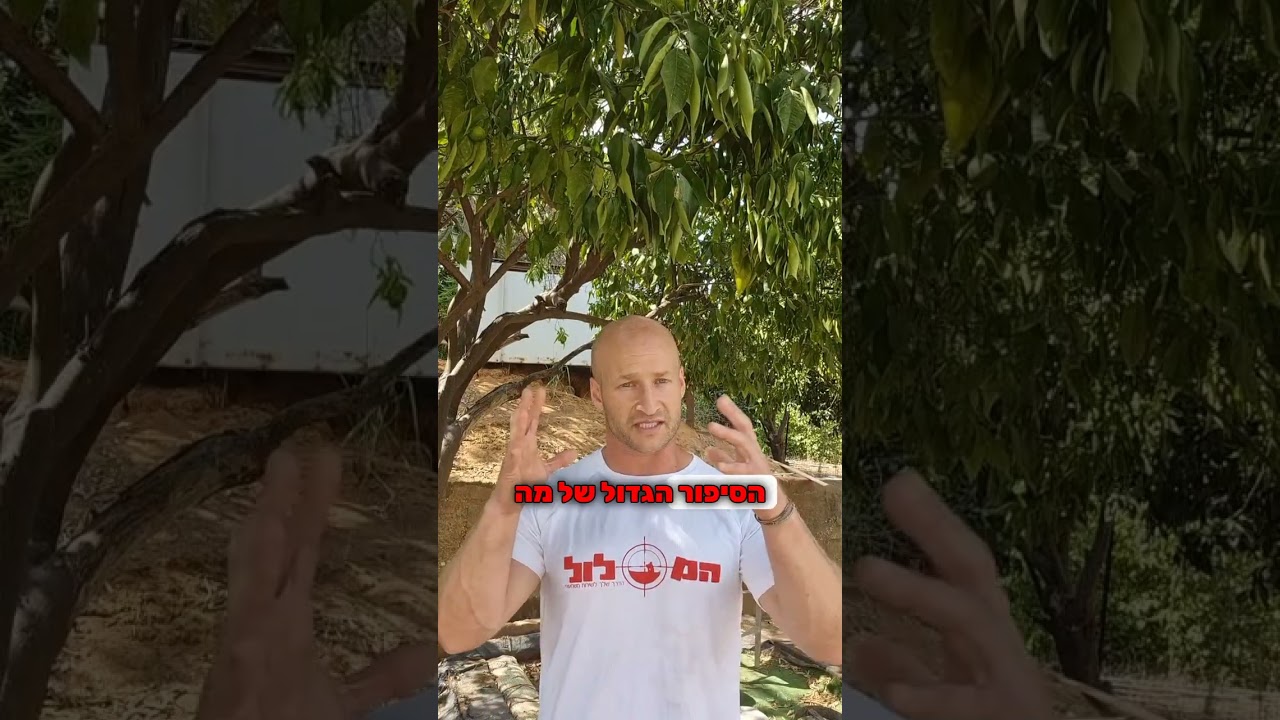 האם גיבוש חובלים באמת קל יותר משאר הגיבושים?