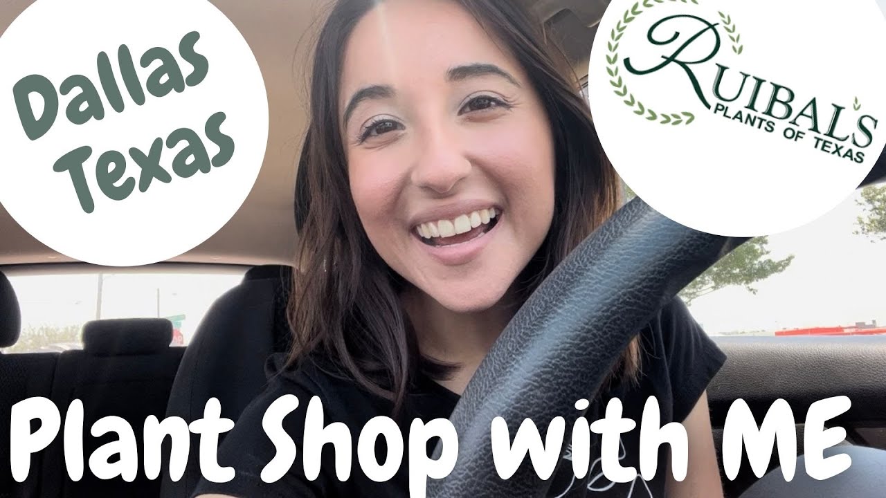 Plant Shop with me in Dallas Texas! Huge Nursery!