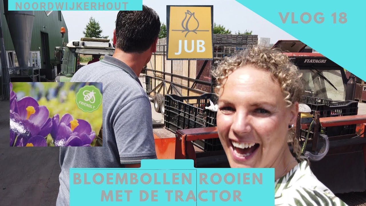 Bloembollen rooien met JUB Holland, Noordwijkerhout