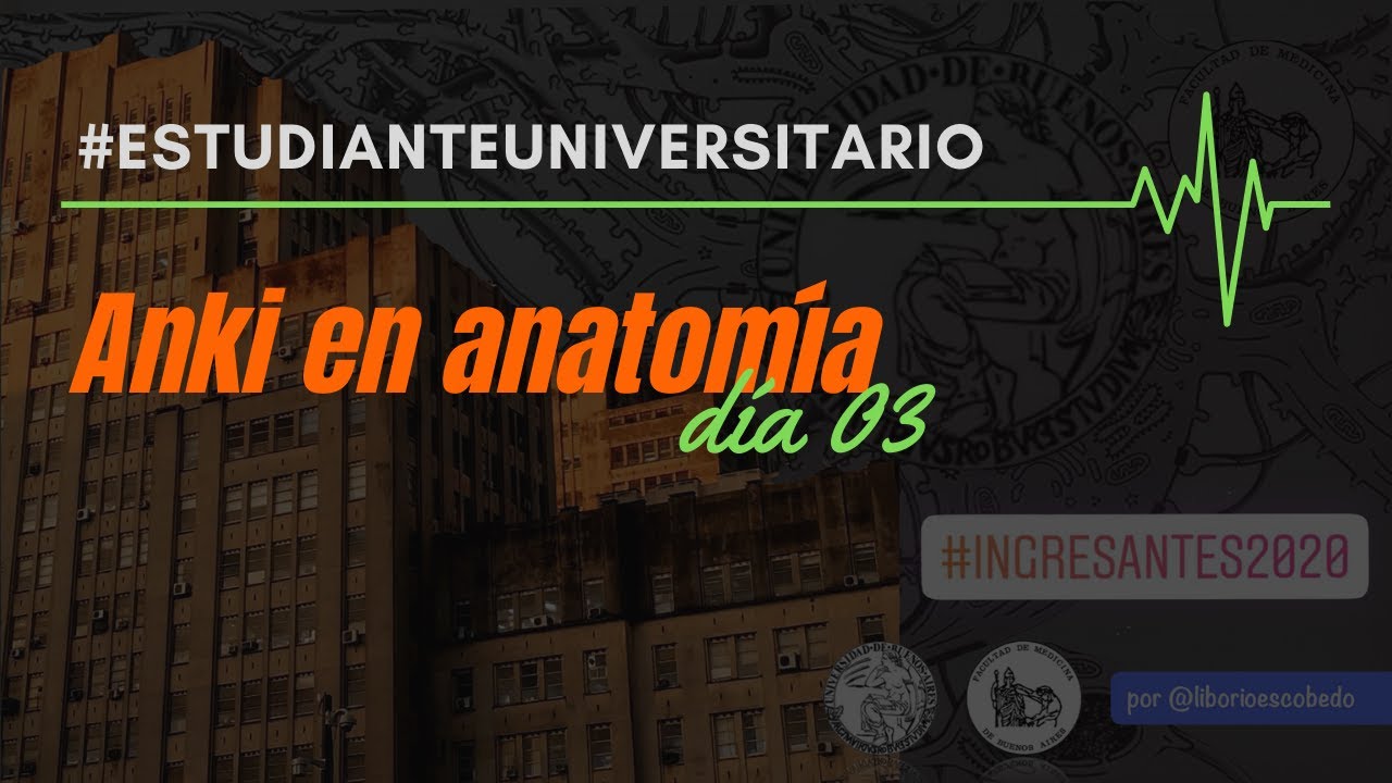 Anki en anatomía - Día 3 - Opciones y estadísticas