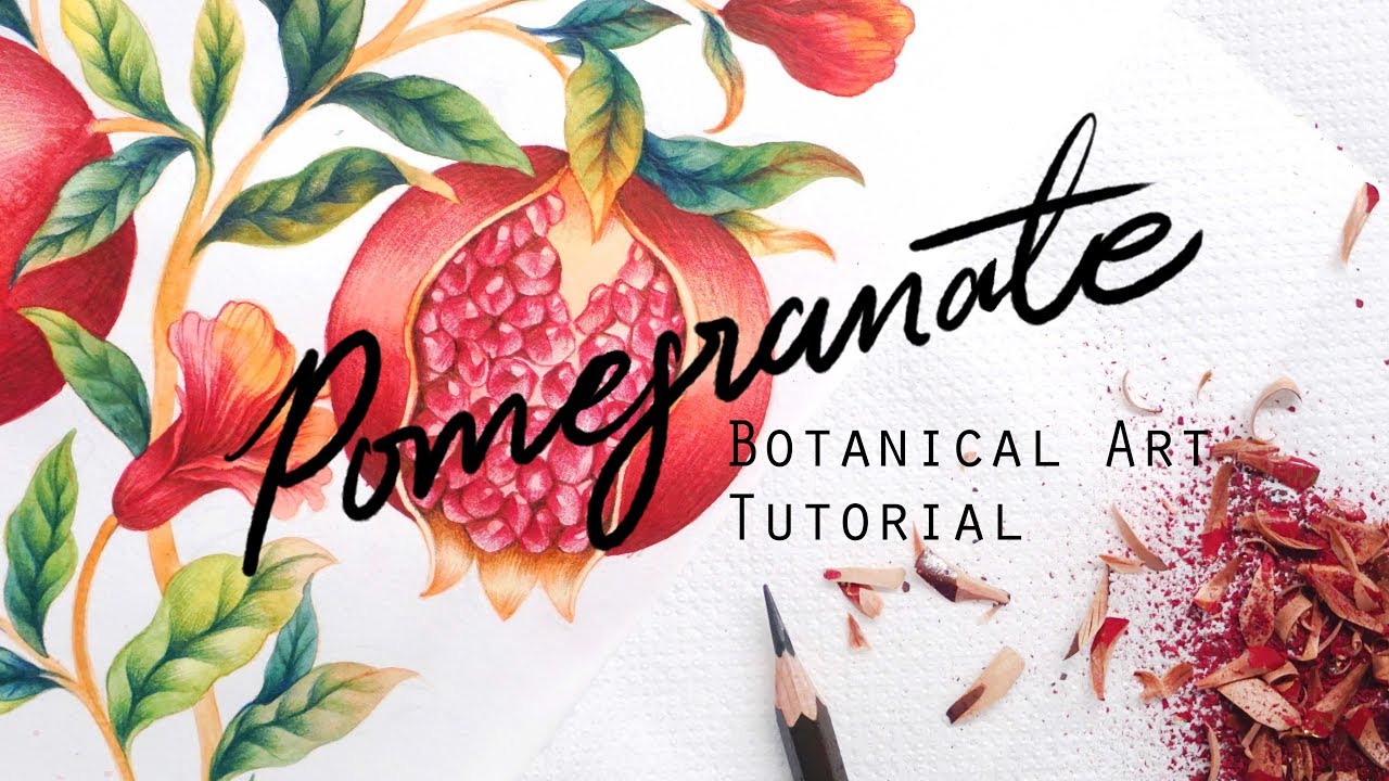 Botanical Art Tutorial : Watercolor-Colored Pencils by Freya.art : สอนระบายสีน้ำ-สีไม้