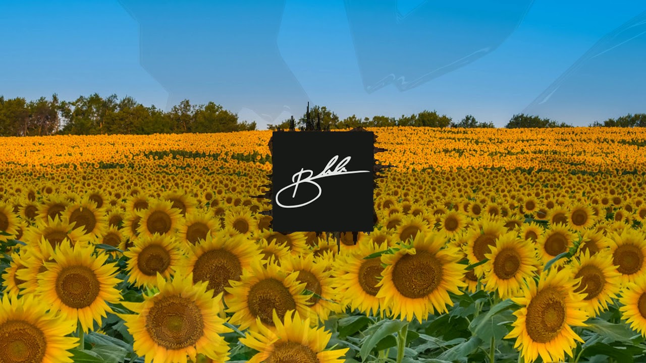 bleda beats - september beauty #trap