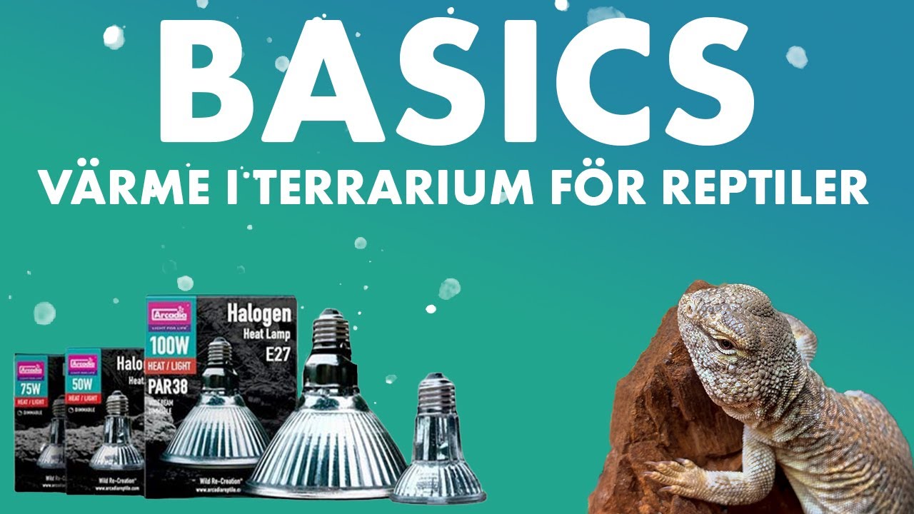 BASICS - Värme i terrarium för reptiler