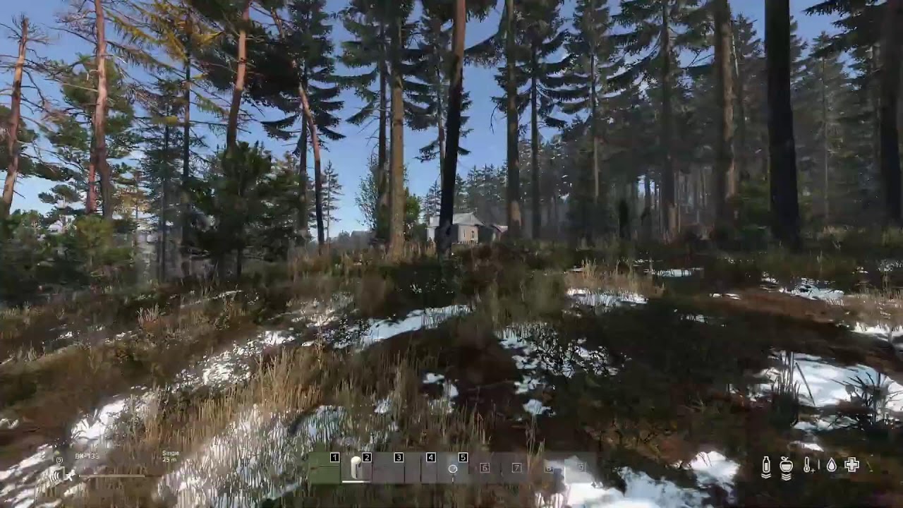 Rooster in Northbound Organic RP on Dayz