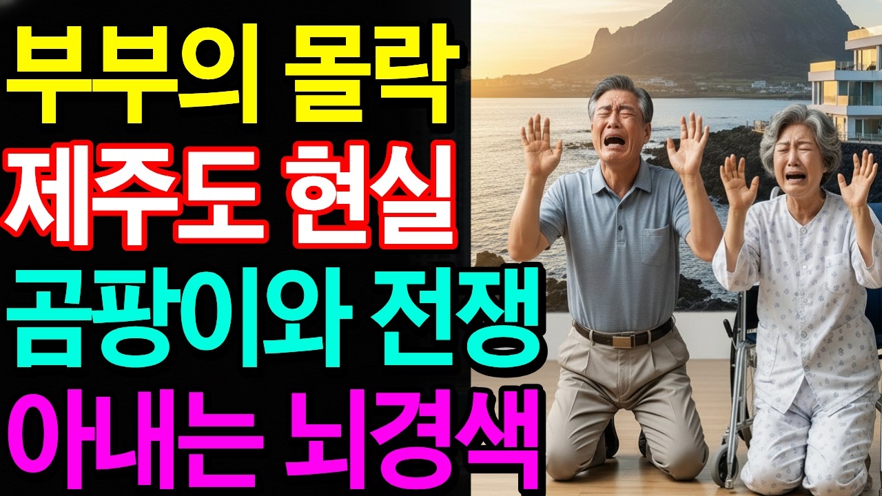 "서울 집 15억에 팔고 제주도 갔다가, 22억 된 서울로 못 돌아옵니다" 아내 뇌졸중 골든타임 놓치고 '예쁜 감옥'에 갇힌 68세 은행 지점장의 후회 |제주살이|노후사연|오디오북