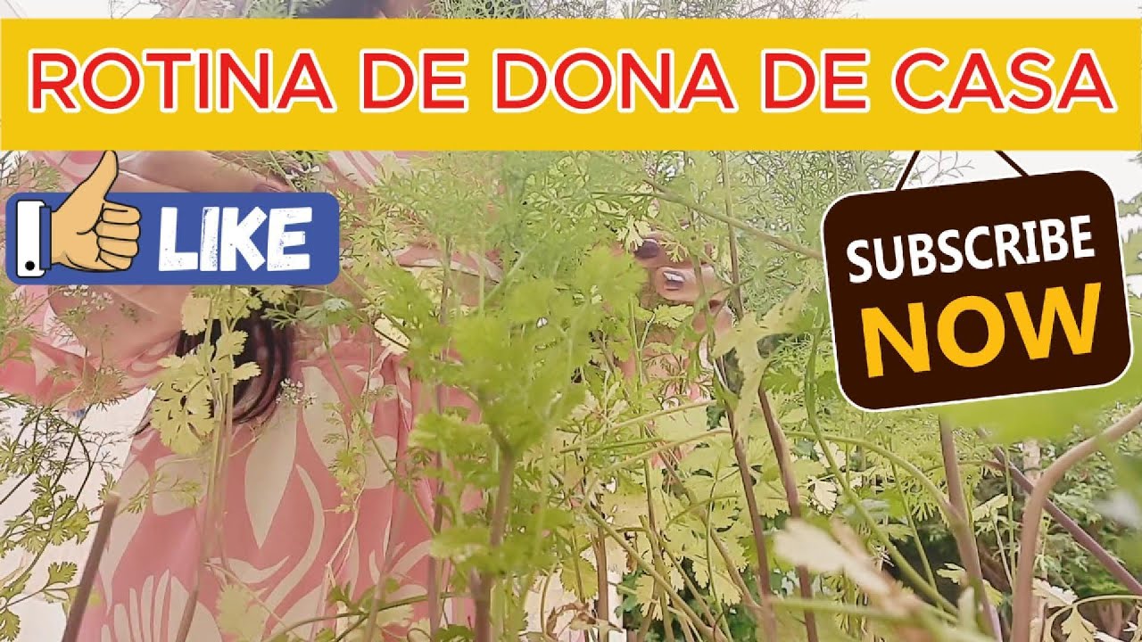 #rotina #estilo de vida #vlogs #moda #registro de vida # diária#routine  #fashion   #life record
