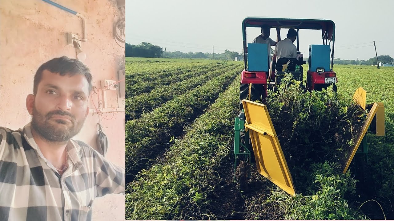 મગફળી ઉપાડવા માટે નું મશીન સારુ કામ