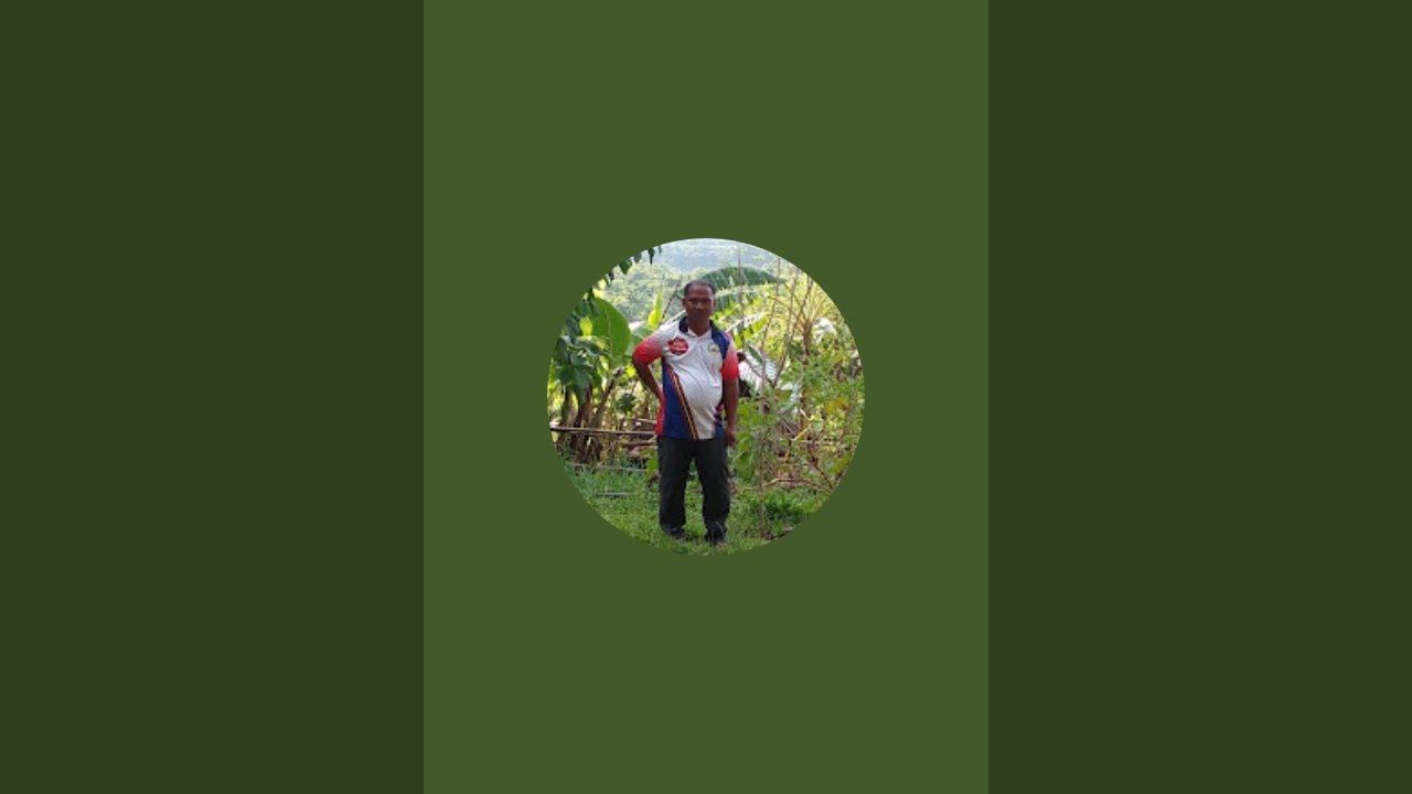 Linglingay channel is live