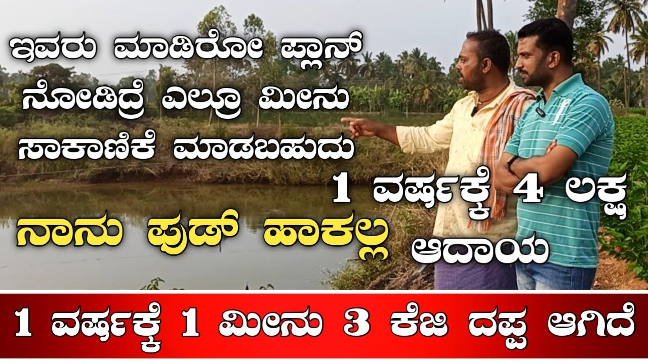 ಮೀನು ಸಾಕಾಣಿಕೆ|fish farming|fish farm kannada|fish bond|catla fish|jilebi fish|Raghu fishtiger jilebi