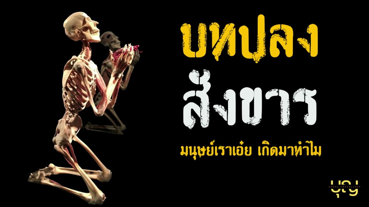 บทปลงสังขาร มนุษย์เราเอ๋ย เกิดมาทำไม?