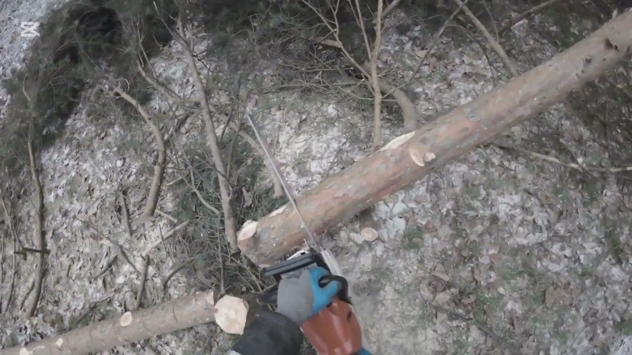 #1 STIHL MS 462C IN ACTION