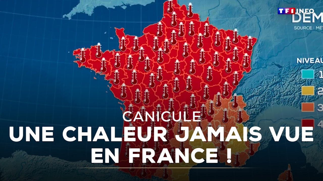 Canicule : la France &eacute;touffe, une chaleur jamais vue frappe le pays｜TF1 INFO